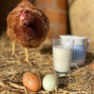 Баварская ферма