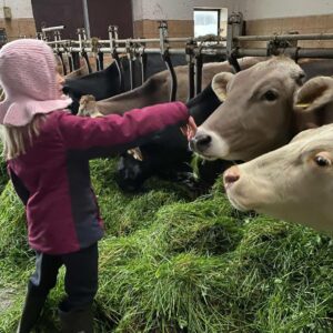 Баварская ферма